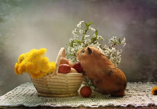 Про солнечный лучик