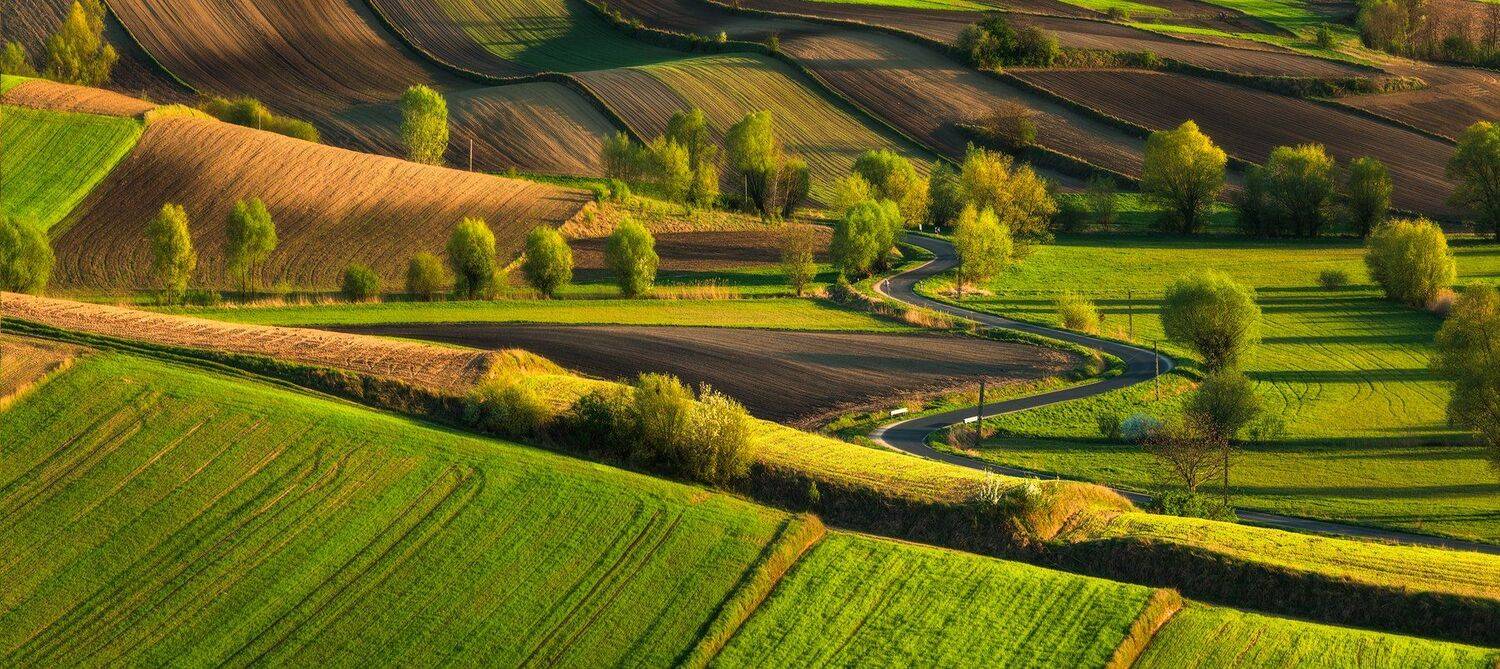 , Pawel Uchorczak