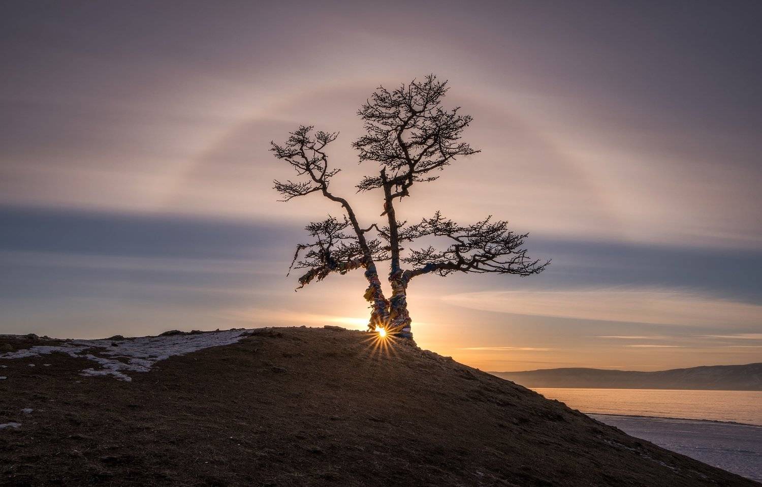 байкал, гало, дерево, небо, солнце, сибирь, дерево желаний, ольхон, Алексей Юницын