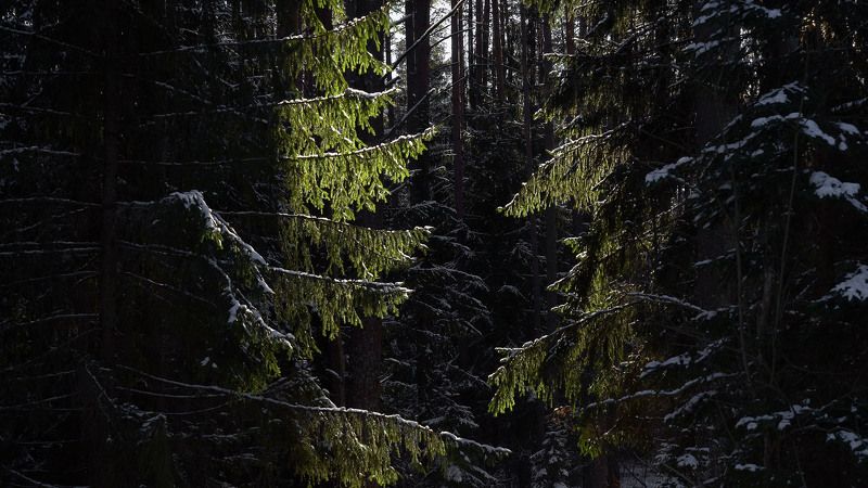 Луч солнца золотого фото превью