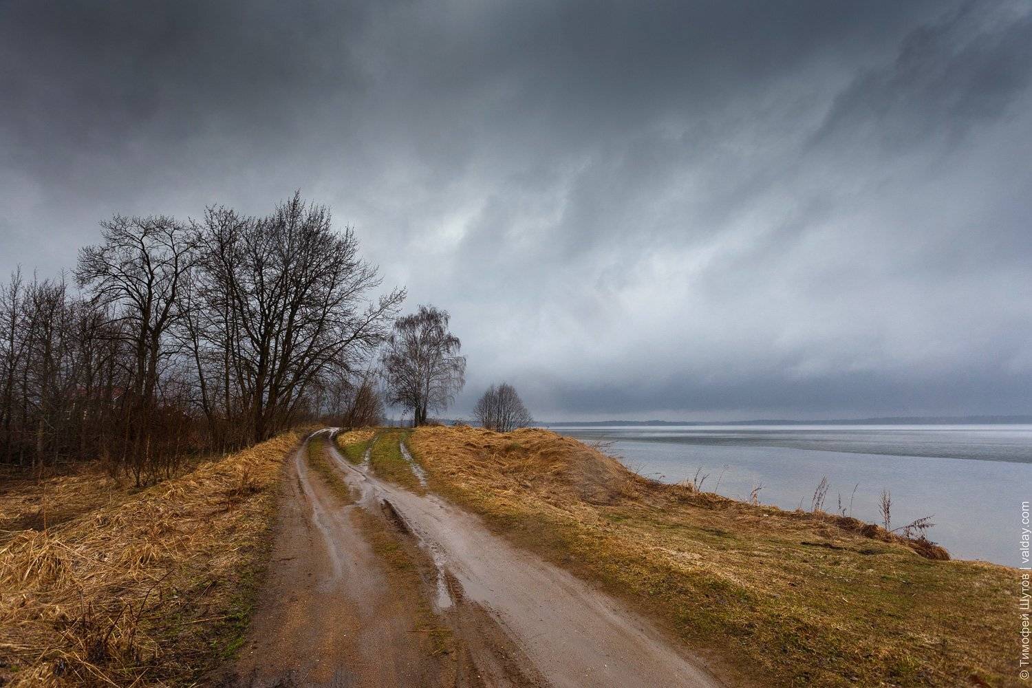 , Тимофей Шутов