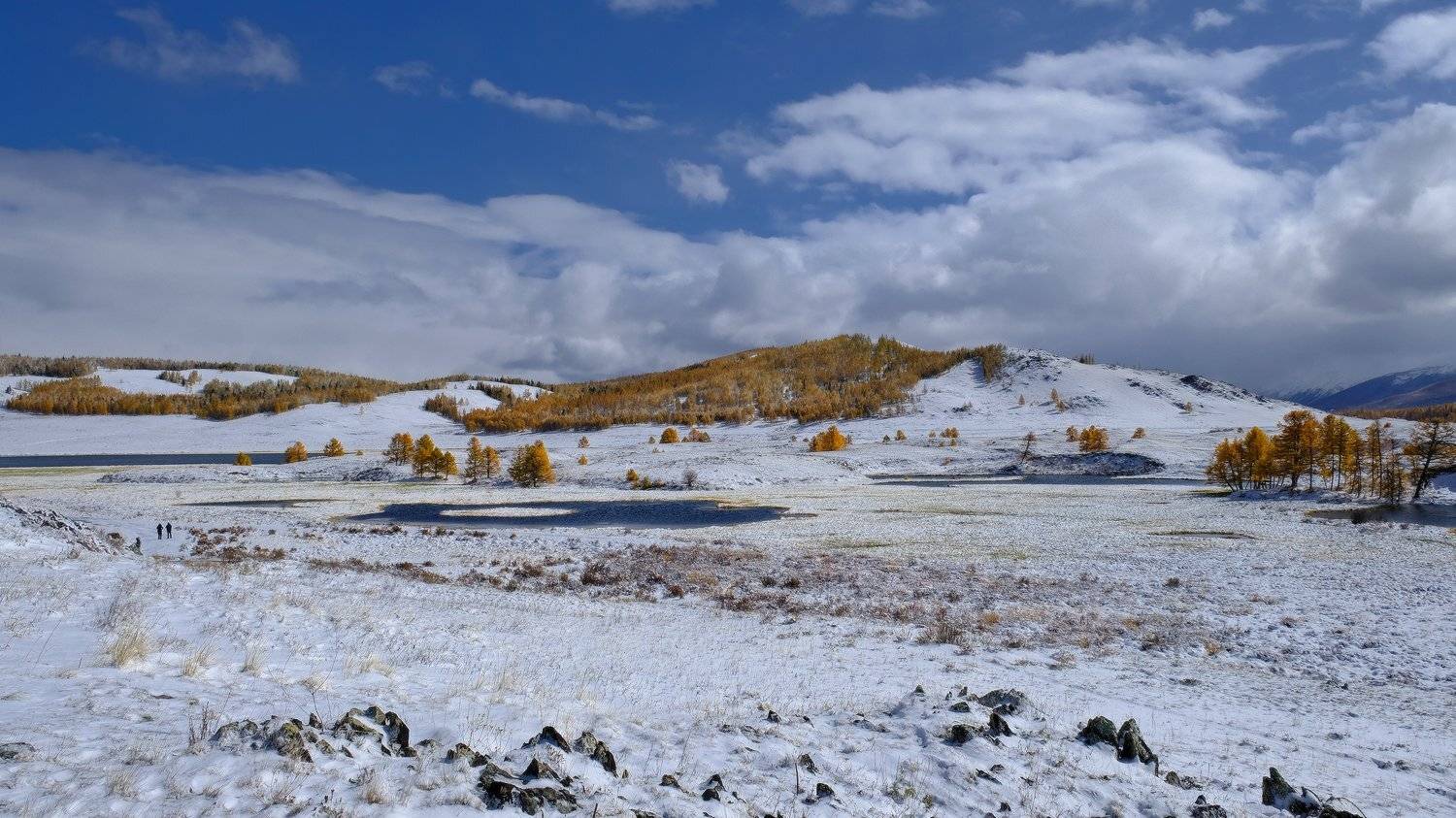 , Ольга Челдыкова