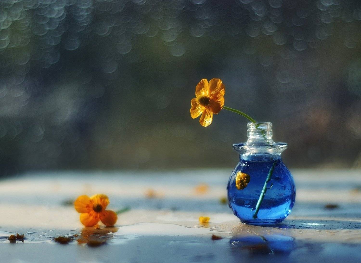 натюрморт,утро,лютик, Наталия К