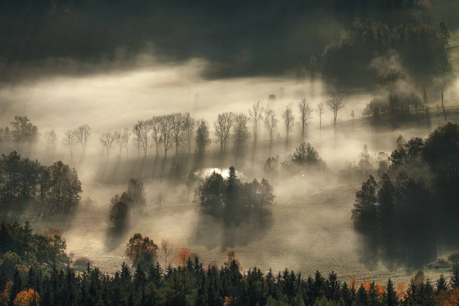 landscape,canon,mist,light,autumn, Iza i Darek Mitręga