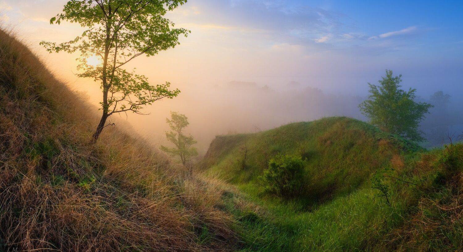 рассвет, туман, долина, свет, солнце, утро, весна, зелень, трава, деревья, природа, река, облака, morning, light, Nature, fog, misty, sunrise, clouds, foggy, dawn, valley, spring, Ivan Maljarenko