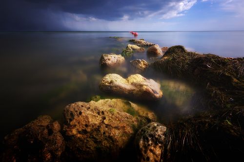 Навстречу ливню