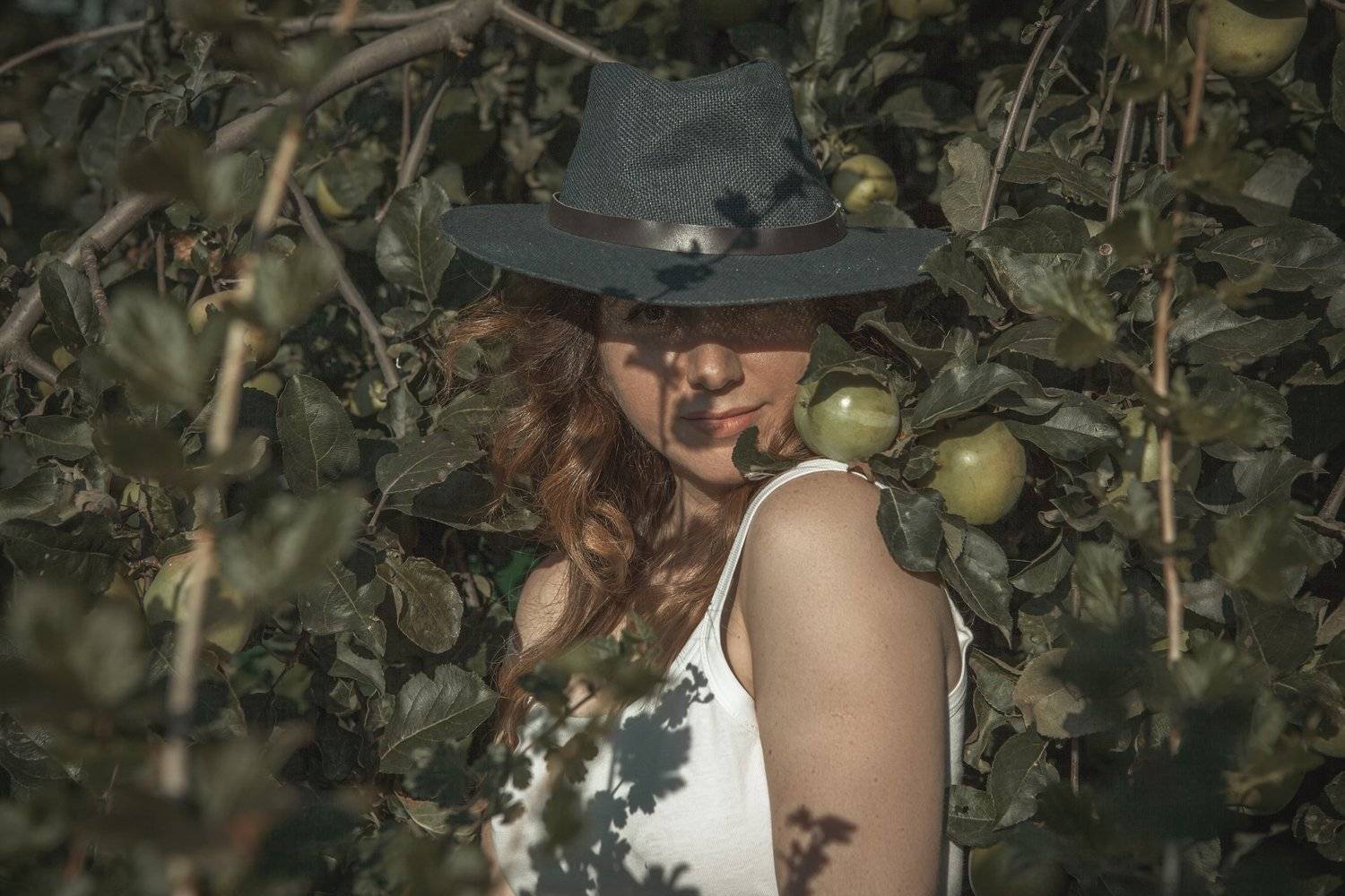 , Владимир Никитин