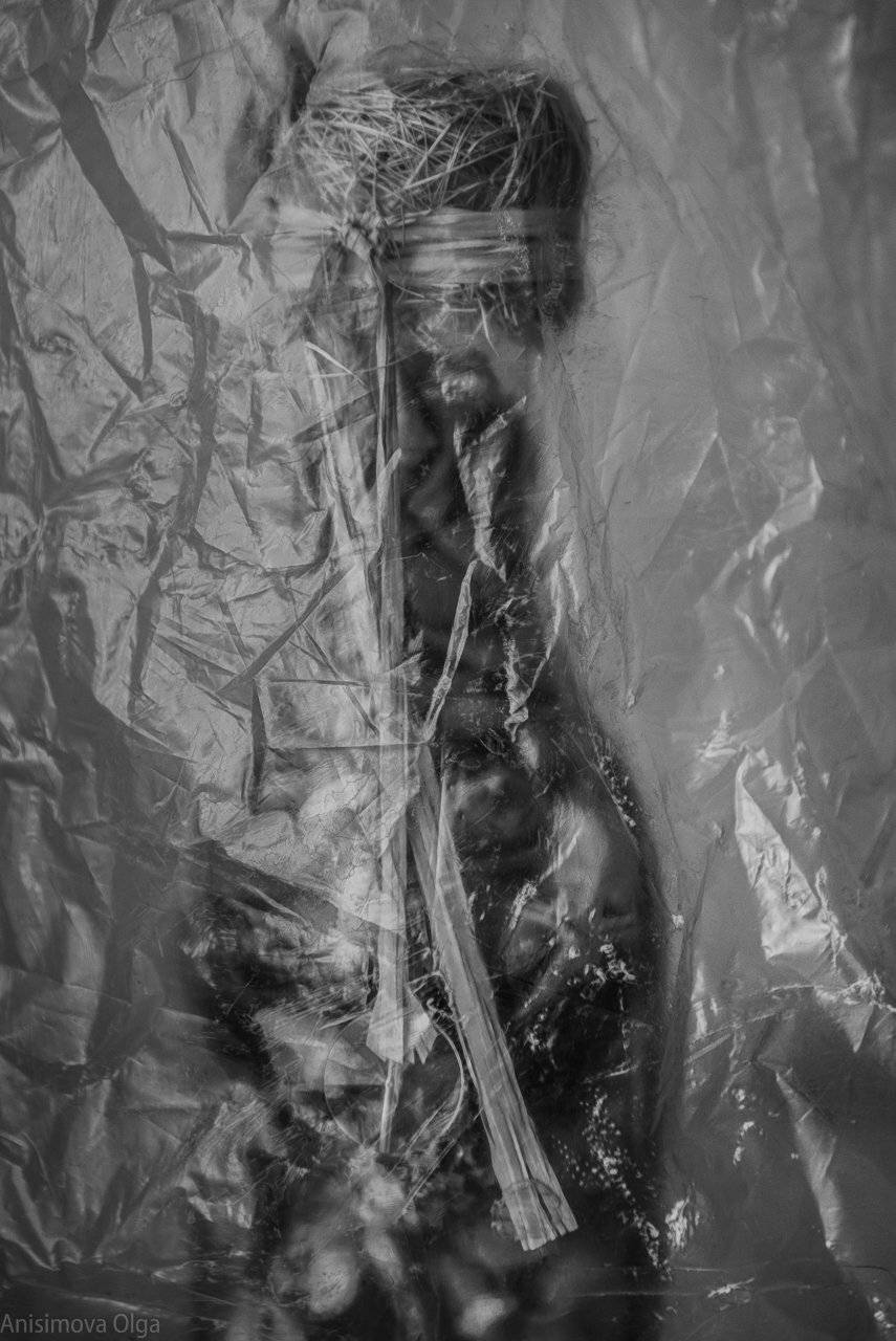 , Анисимова Ольга Леонидовна