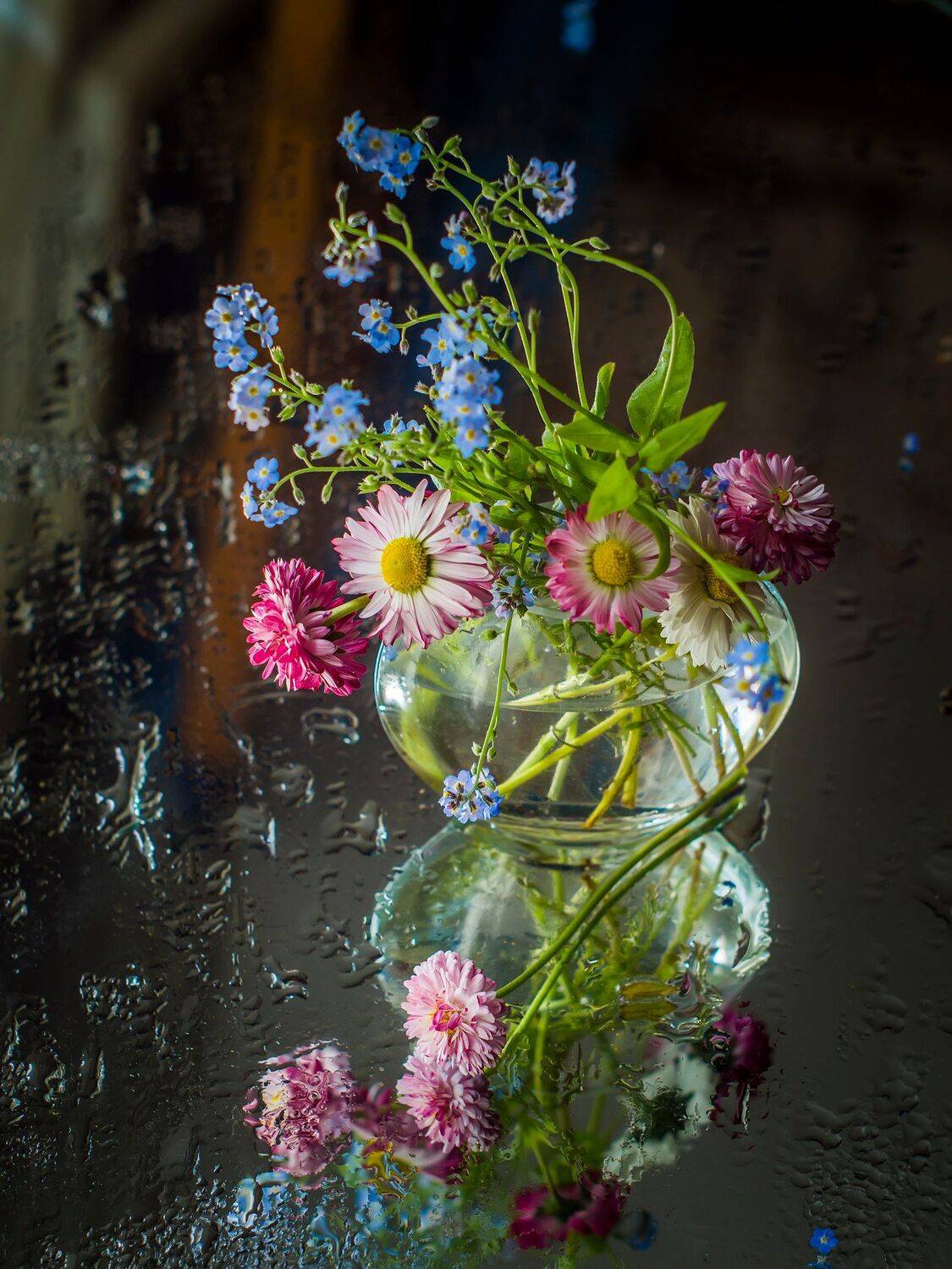 , Евгения Муравская