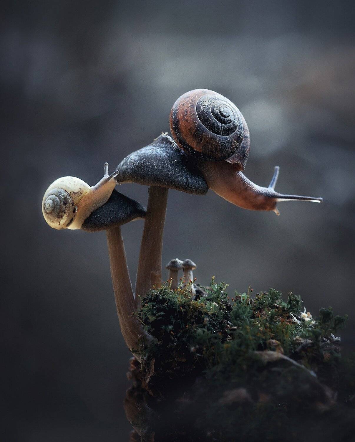 , Галина Горькавая