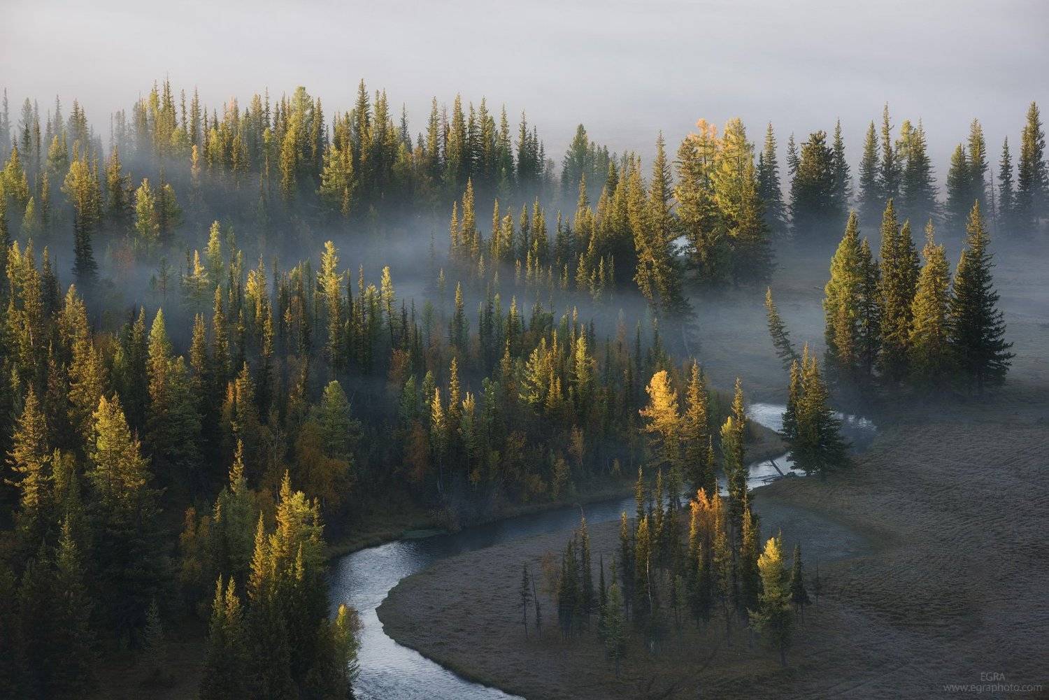 сибирь, алтай, курай, altai, altay, siberia, EGRA