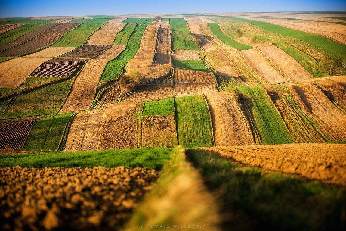 poland, polish, colours, sky, morning, sunrise, sunset, spring, fields, senility, infinity, light, shadows, landscape, Tomasz Wieczorek
