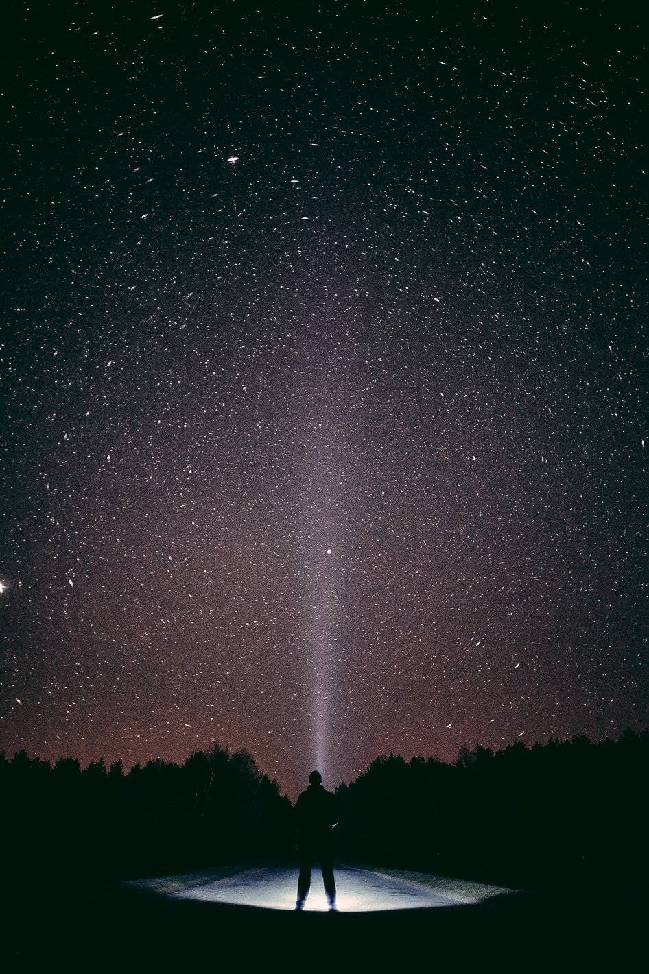 , Александр Фанковин