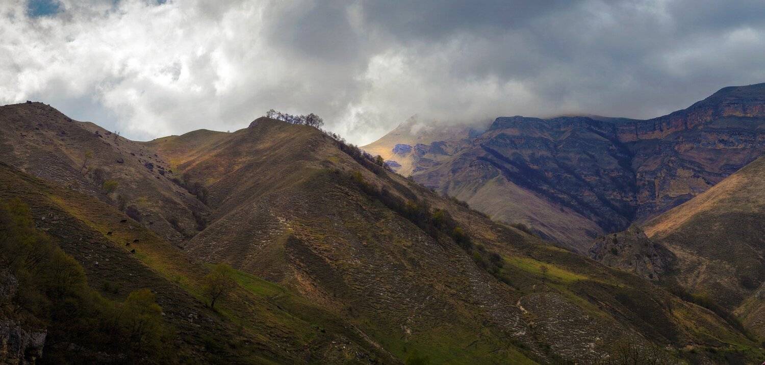 , Алексей Рыльский