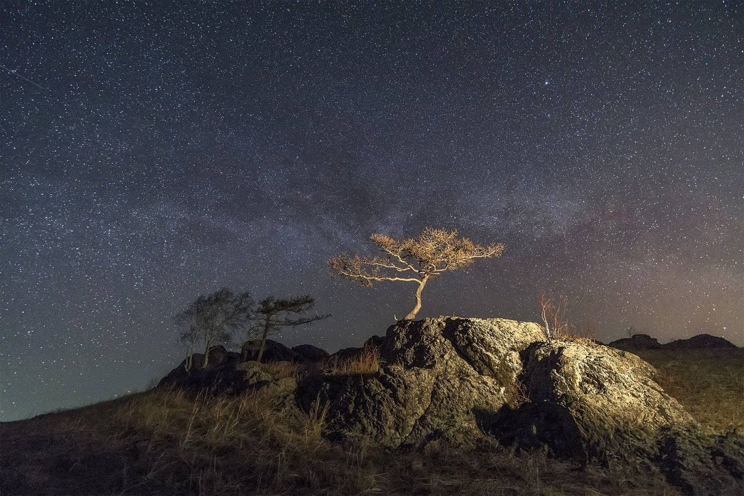 , Леонид Максименко