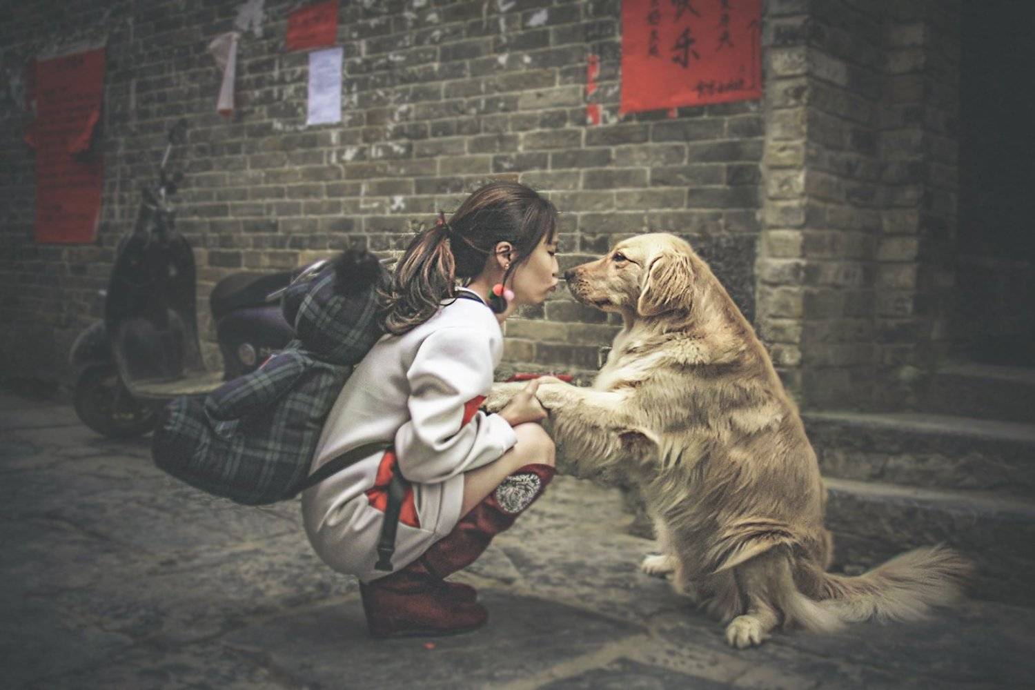 china, китай, farewell. расставание, kiss, поцелуй, moped, motorbike, мопед, teddy bear, мишка, street, девочка, chinese girl, путешествия, travel,  dog, собака,, Tatyana Forever