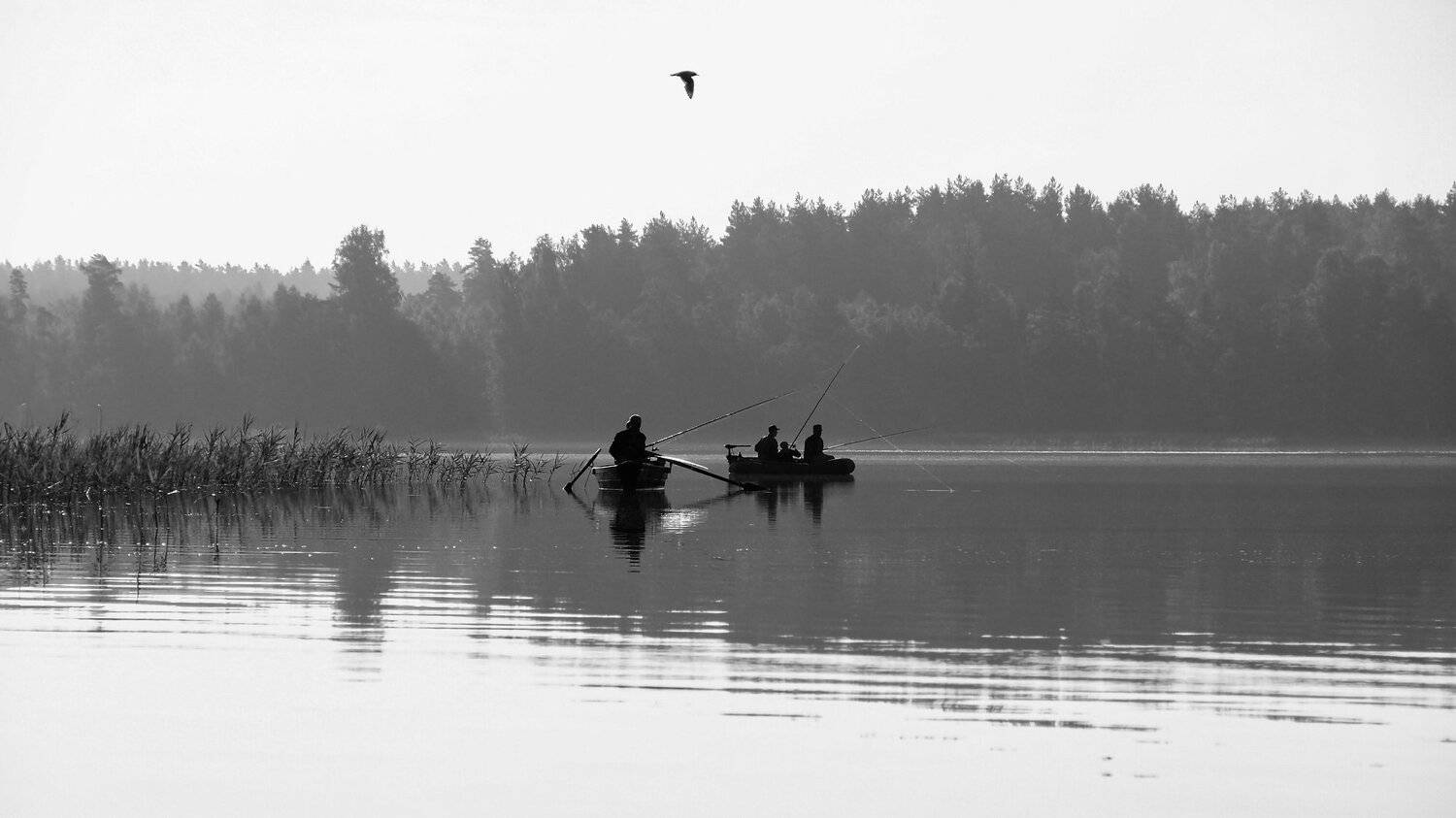 пейзаж, лето, беларусь, природа, Sixten ( Сергей )