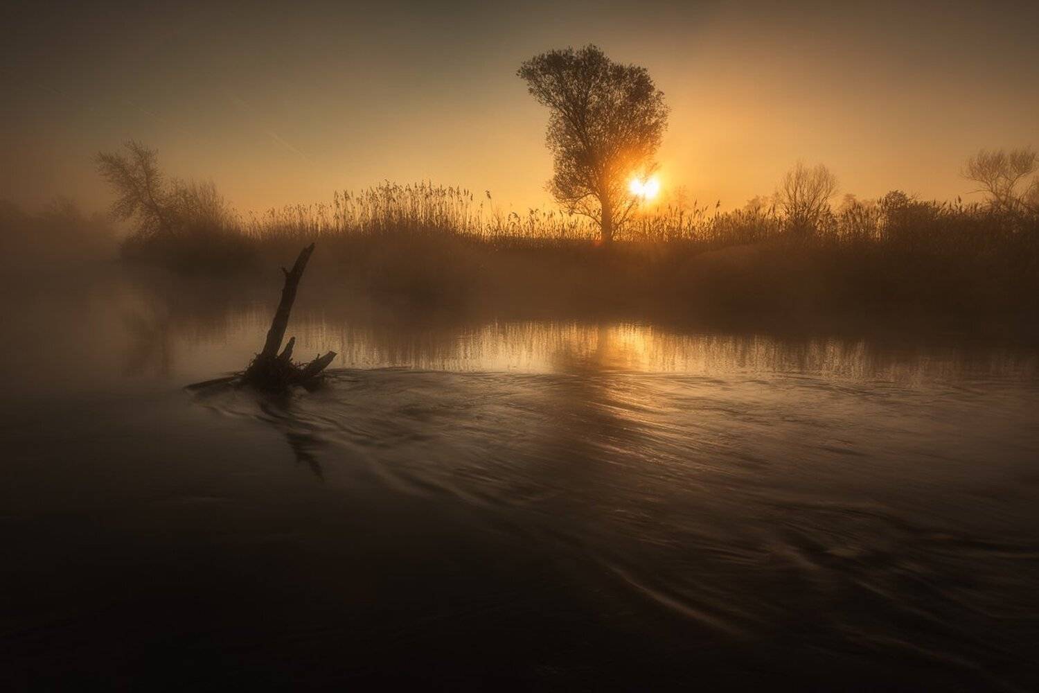 River Nida . Автор: Pawel Uchorczak , Pawel Uchorczak
