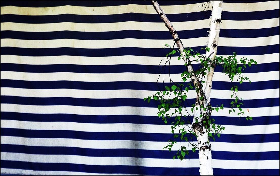 , Krzysztof Trojanowski