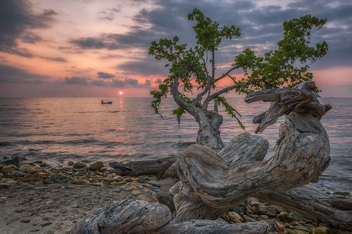 Закаты заморских морей.