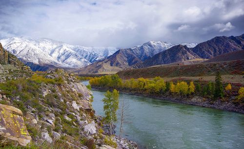 Катунские террассы