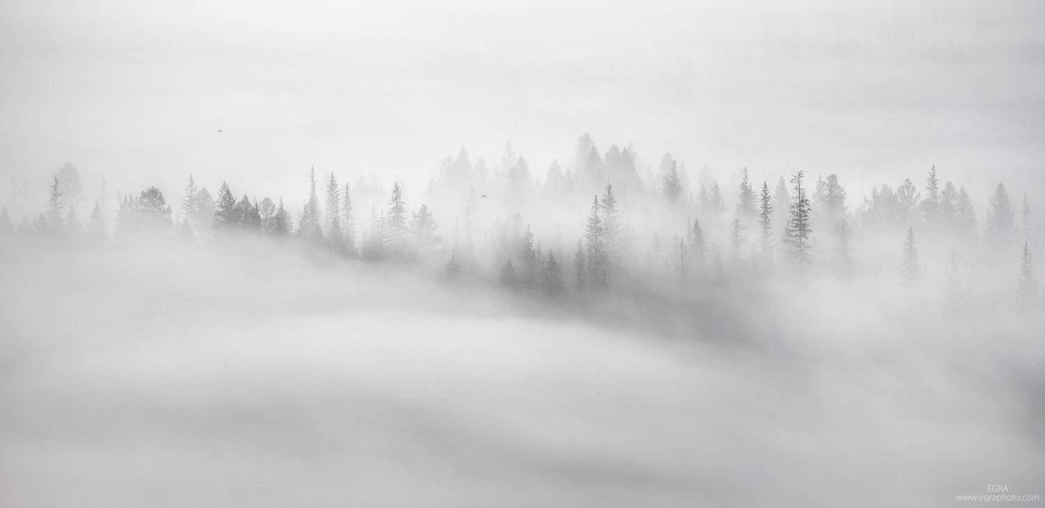 сибирь, алтай, курай, altai, altay, siberia, EGRA