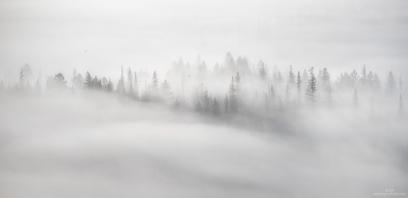 сибирь, алтай, курай, altai, altay, siberia Укутанный Курай фото превью