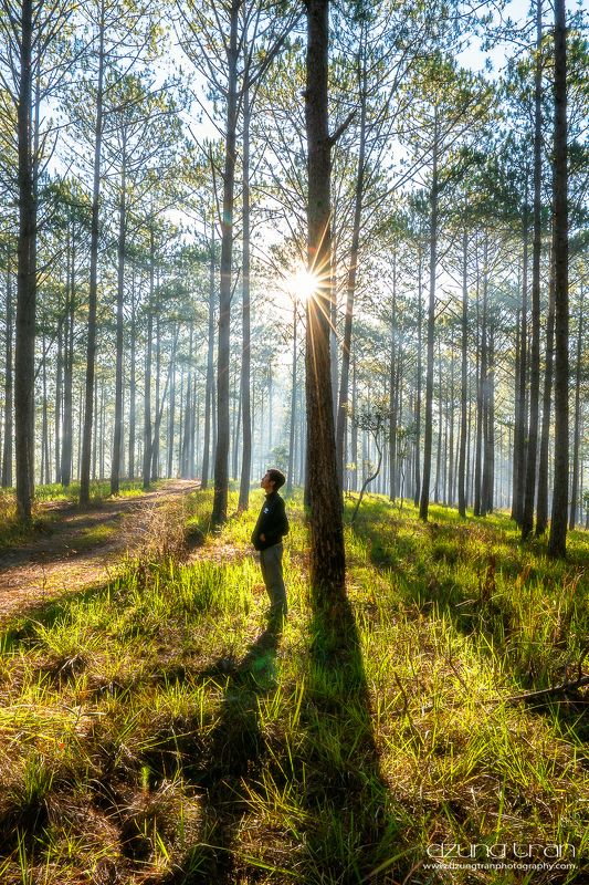 First light фото превью