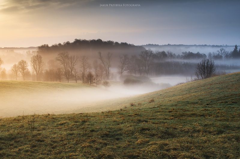 fog,spring Spring фото превью