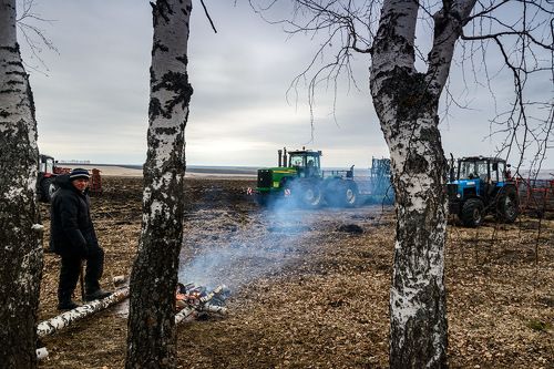 Посевная. Ночной сторож...