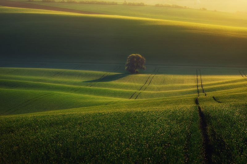 Утро в Моравии фото превью