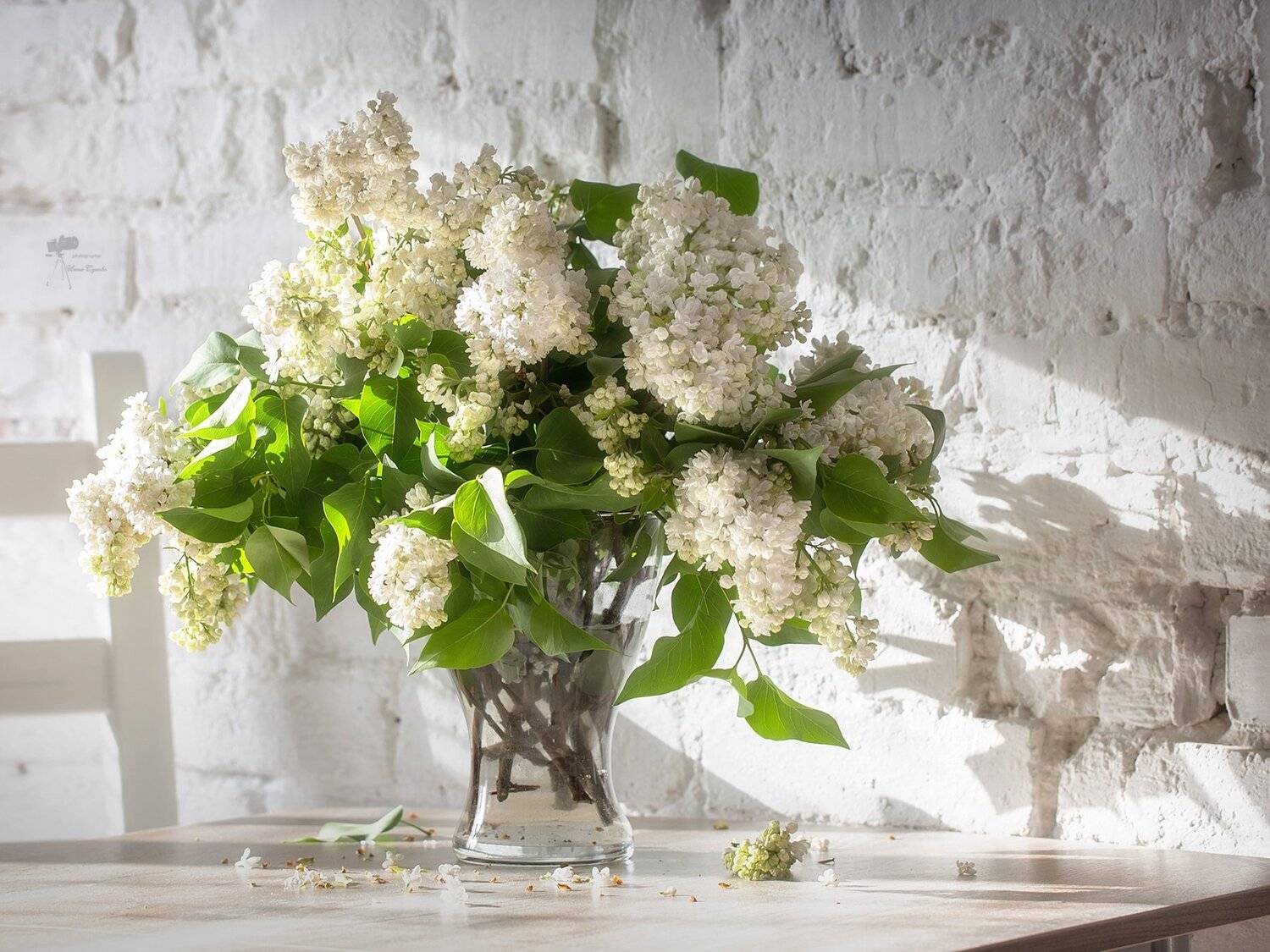 , Инна Сухова