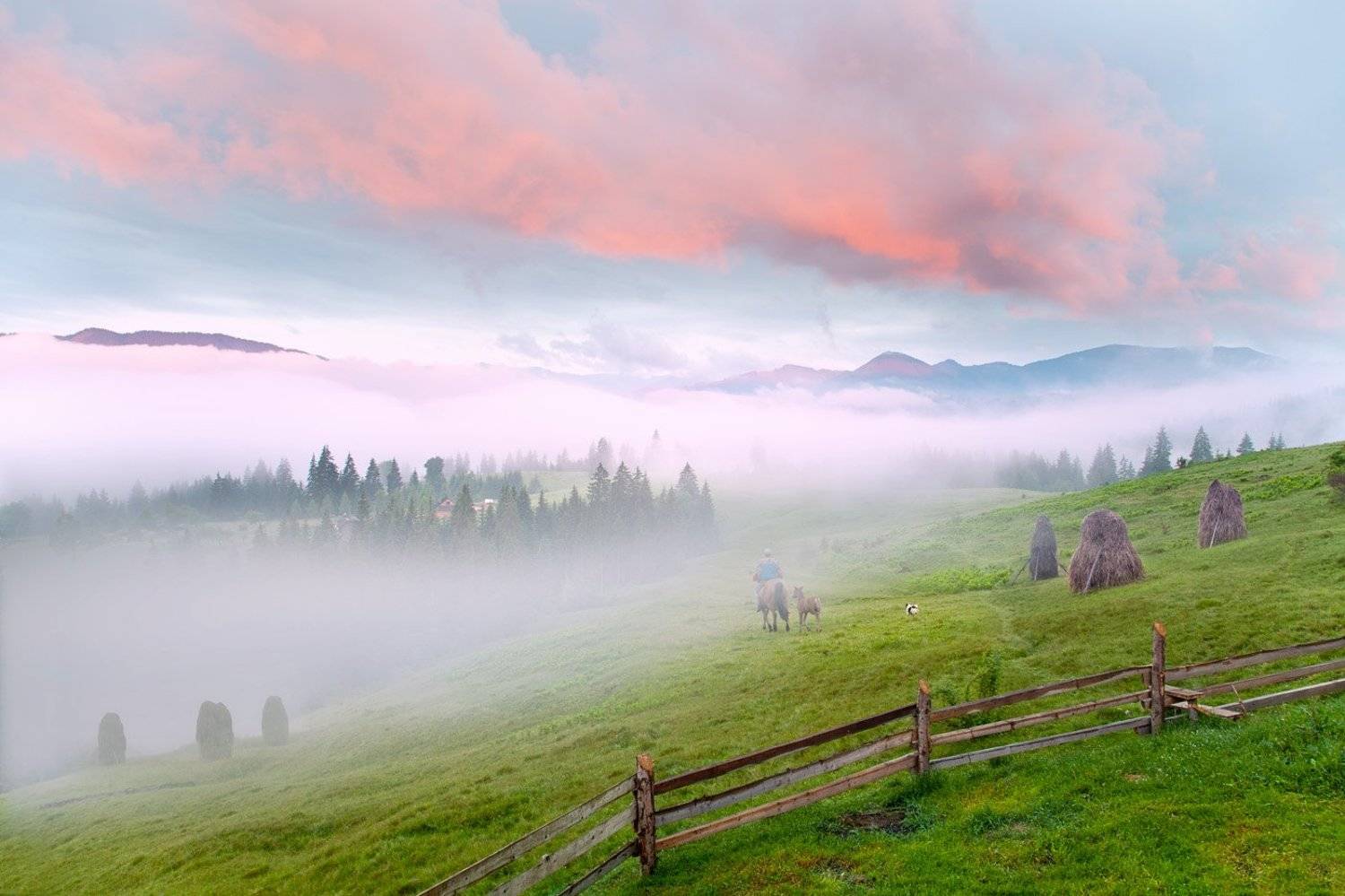 , Юлия Рублевская