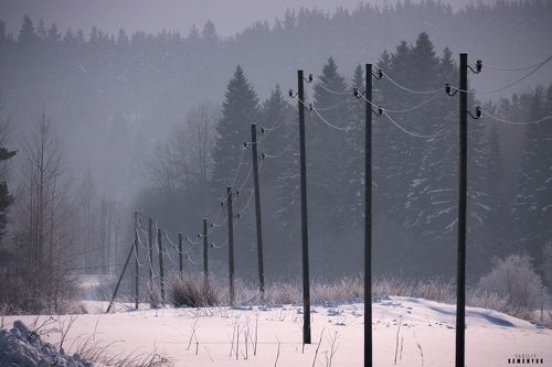 Линия жизни.