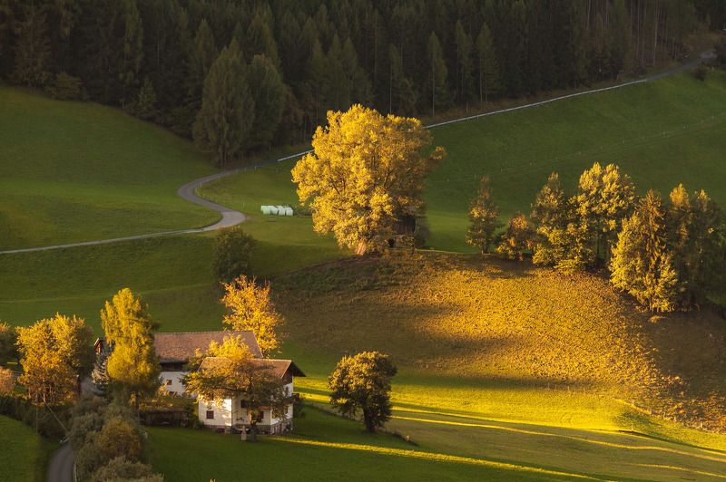 Осений свет фото превью