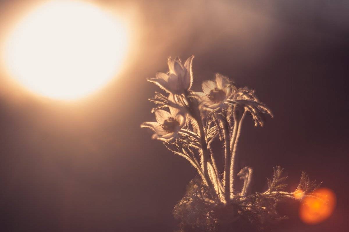 , Татьяна Аверина