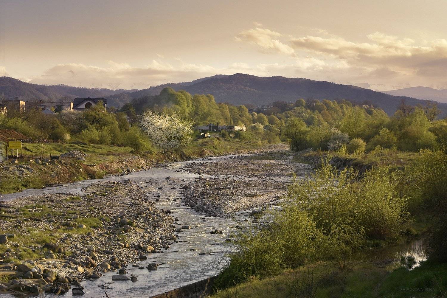 , Шипунова Ирина