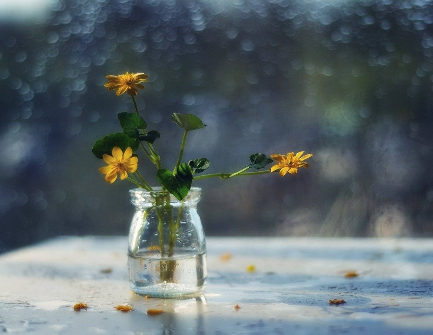 натюрморт,весна,чистяк,цветы, Наталия К