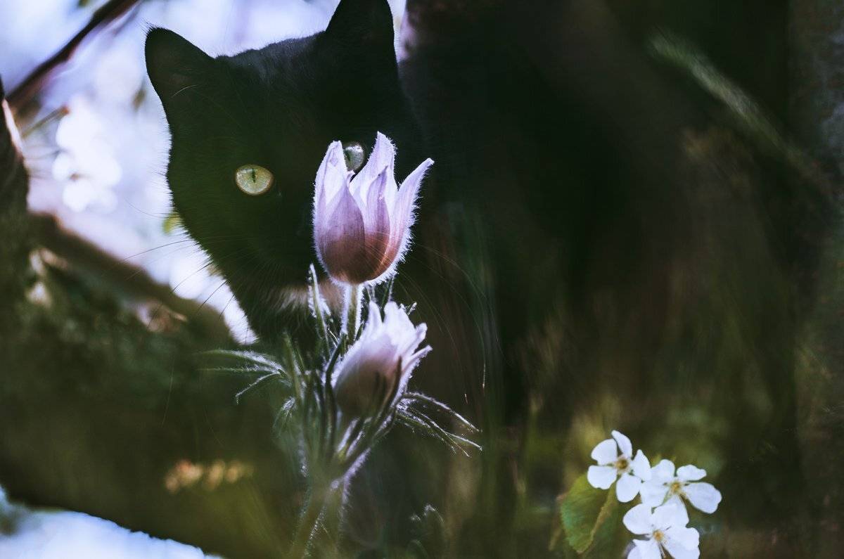 , Татьяна Аверина