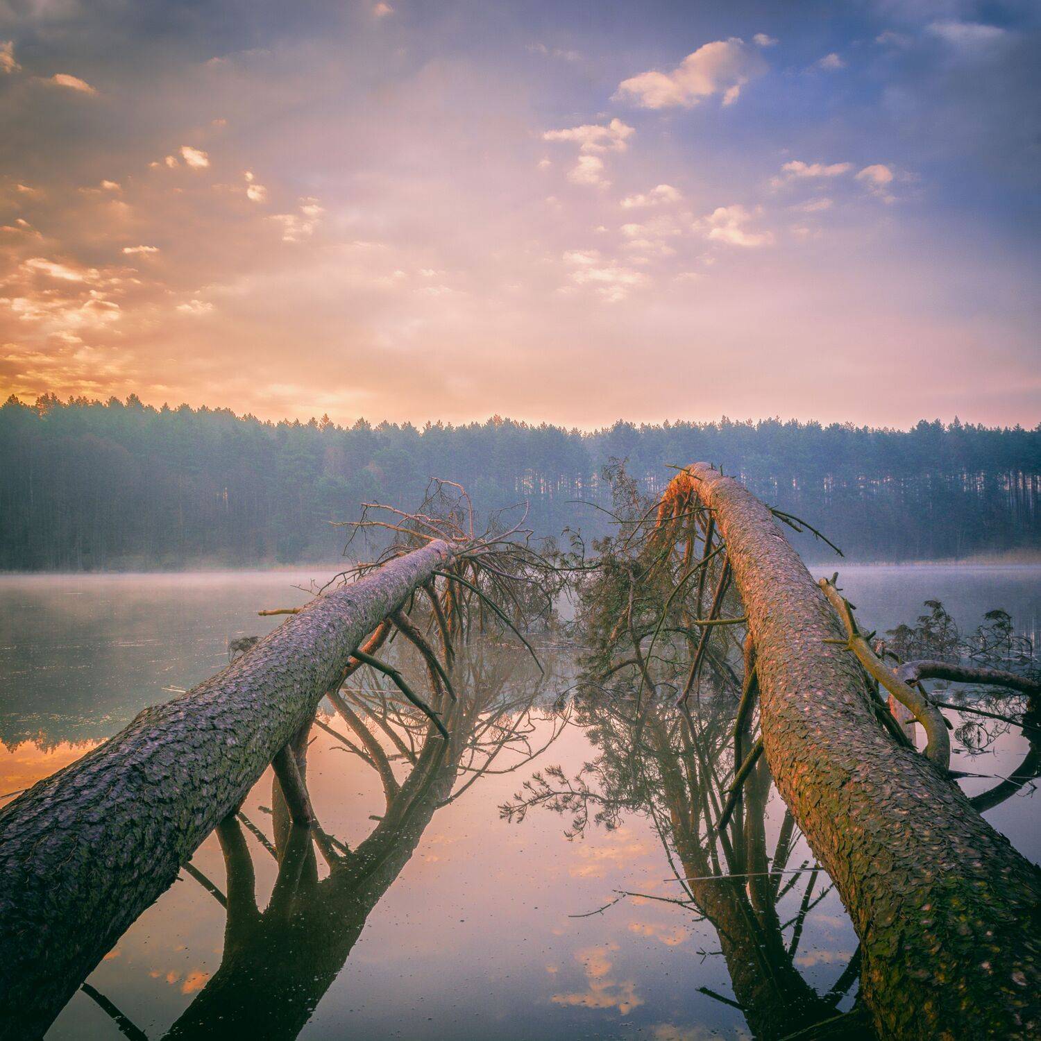 dawn,fog,trees,lake,nature,landscape,sky,clouds,sunlight,mirror,, Krzysztof Tollas