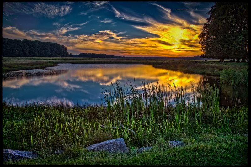 Dyrehavn 30 фото превью