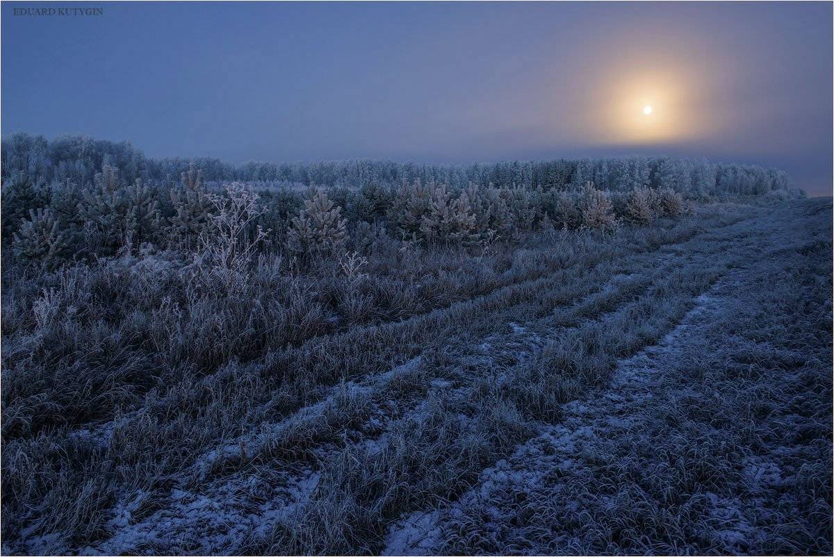 , Кутыгин Эдуард