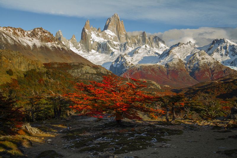 patagonia Осень в Фитц Рой. фото превью