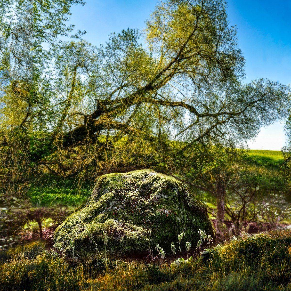 камень, Rimantas Petrikas