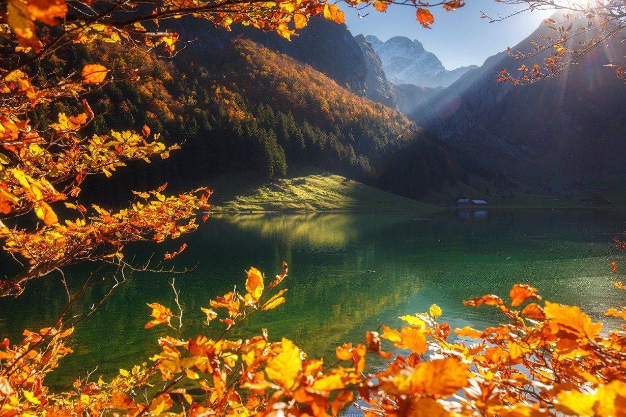 , Андрей Базанов