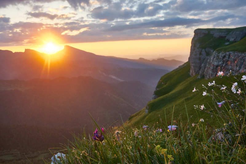 закат, горы, долина, цветы Вечерняя... фото превью