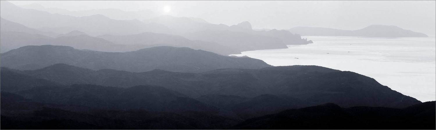 , Алексей Пучков