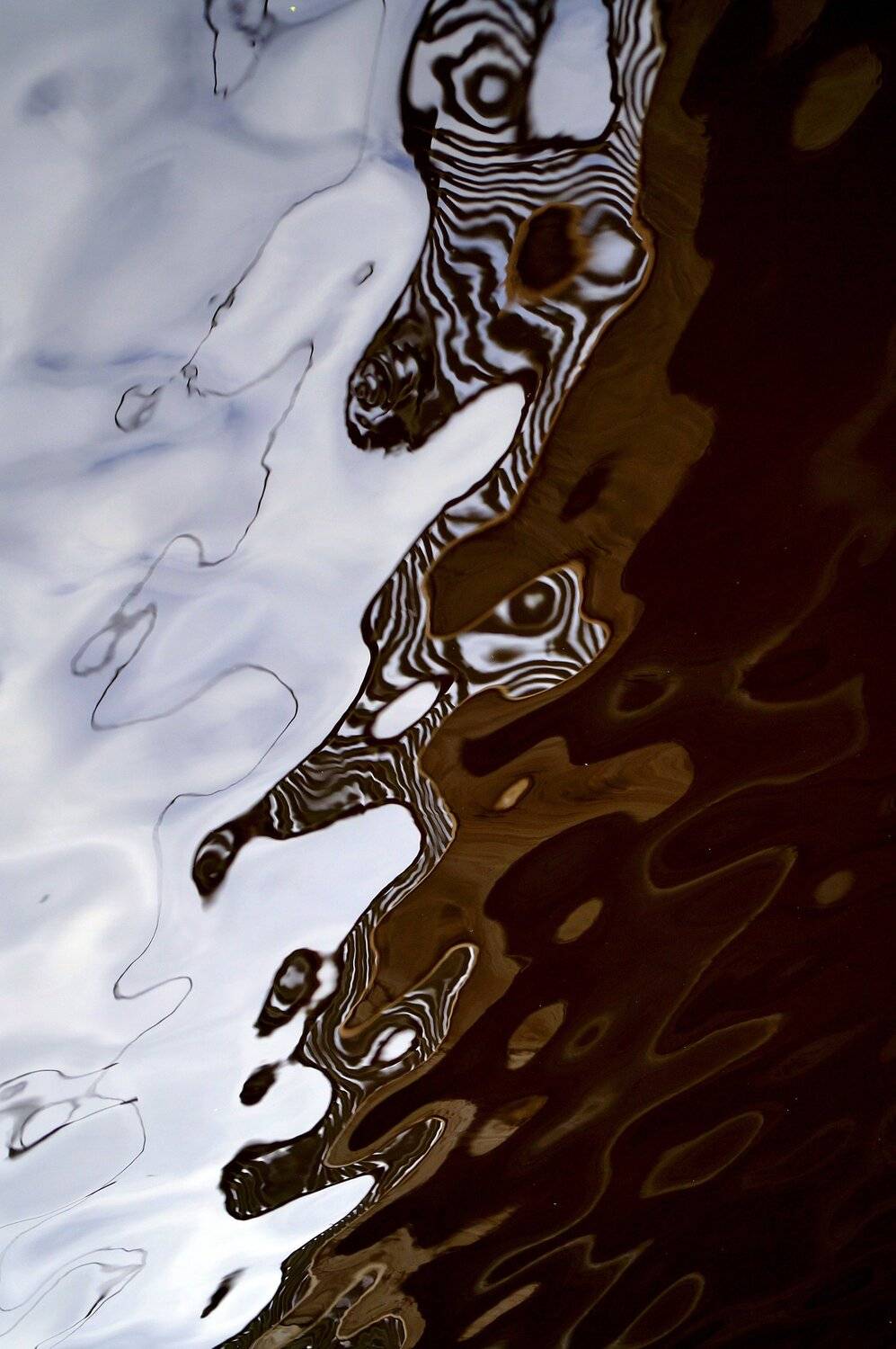 pareidolia, ПОЛУЕВ ИЛЬЯ