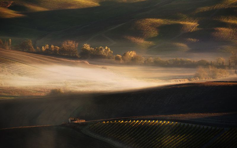 Hut next to vineyard фото превью