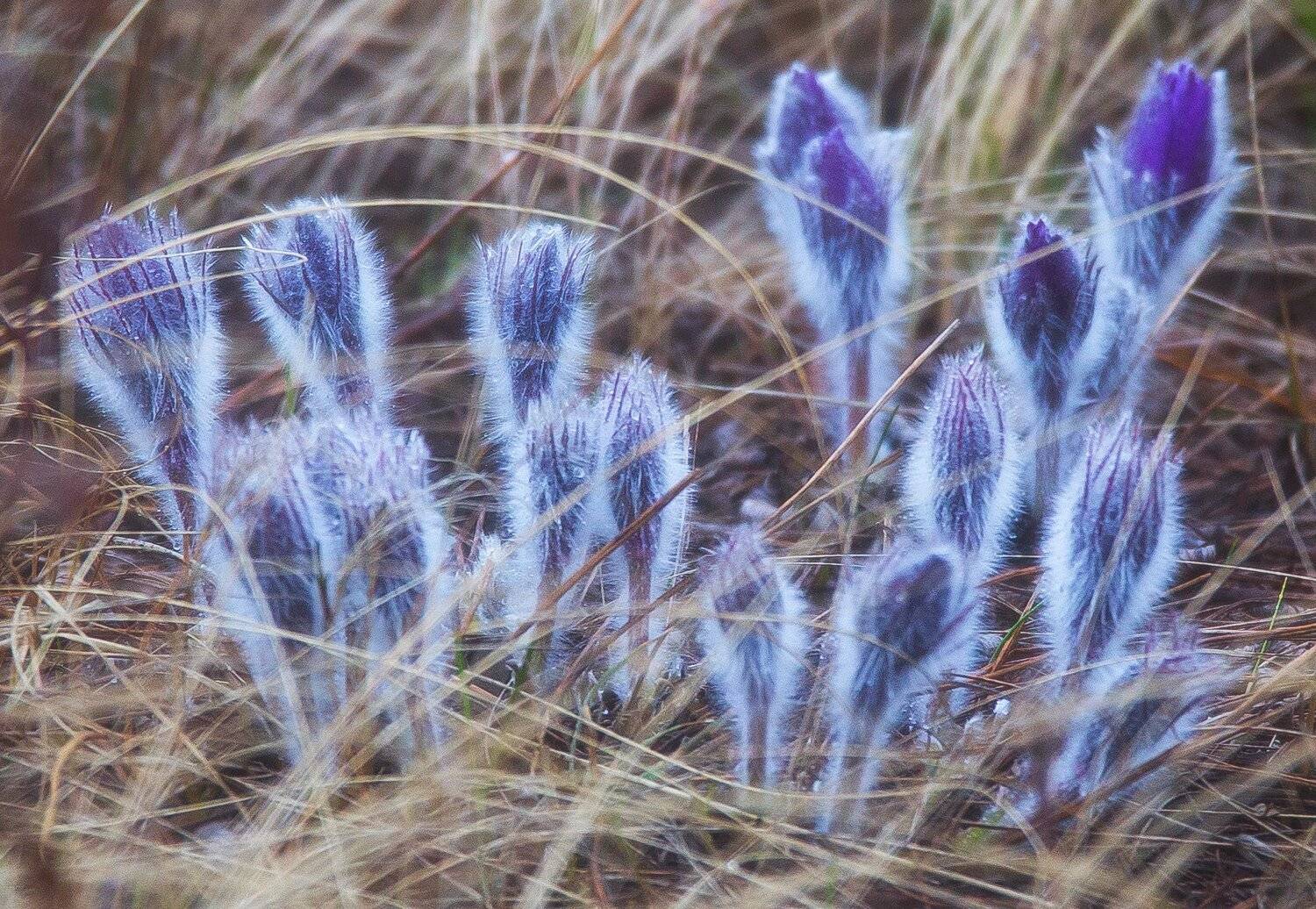 , Павел Сагайдак